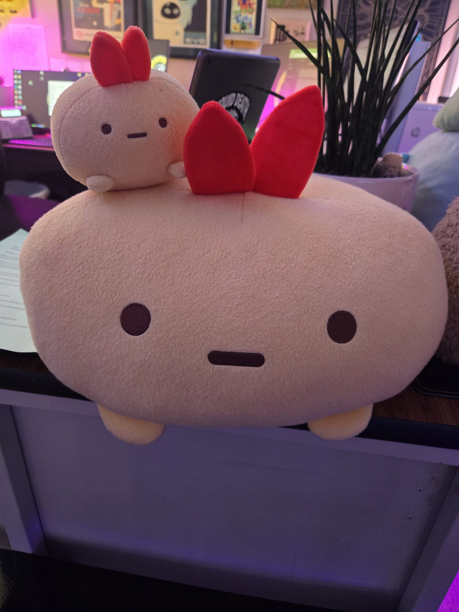 A row of Sumikko Gurashi plushes along the back bench